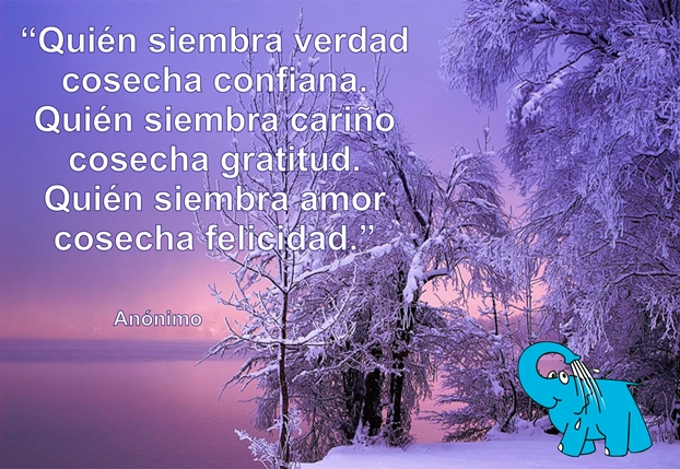 Una Enseñanza sobre La Felicidad, en La Frase del Día del Elefante Azul de Avilés
